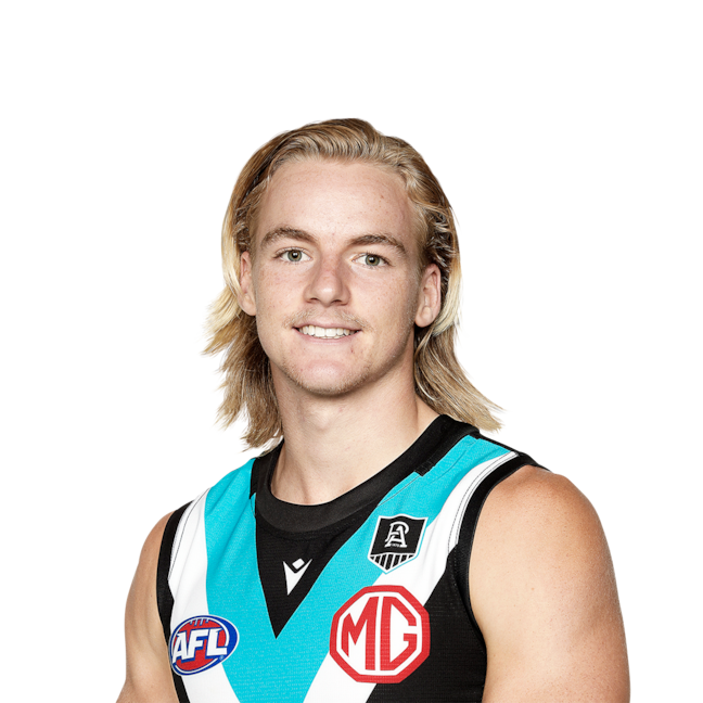 Miles Bergman profile picture